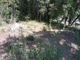 Finca rústica en Manel domenech 3. Terreno rústico de 8000m2 en sentmenat