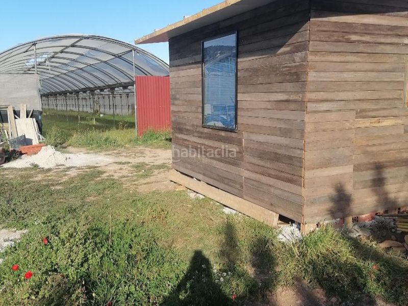 Foto 11c9c28c-db16-4433-9553-734b18212c00. Finca rústica a carrer del mar 77 a Alcanar