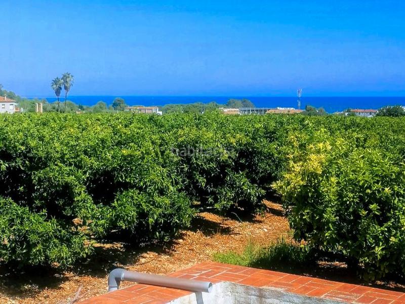 Foto 9915a842-953a-4f2b-8d55-fff85d5491cc. Finca rústica en carrer del mar 77 cerca de la playa en Alcanar