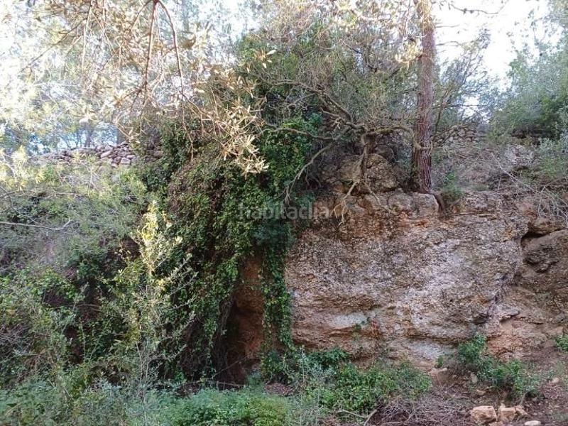 Foto 3b8f7808-872e-431f-8da3-656099f492d9. Alquiler estudio en carrer del pont 28 alojamiento olivo - art villa claudia en Ametlla de Mar (L´)