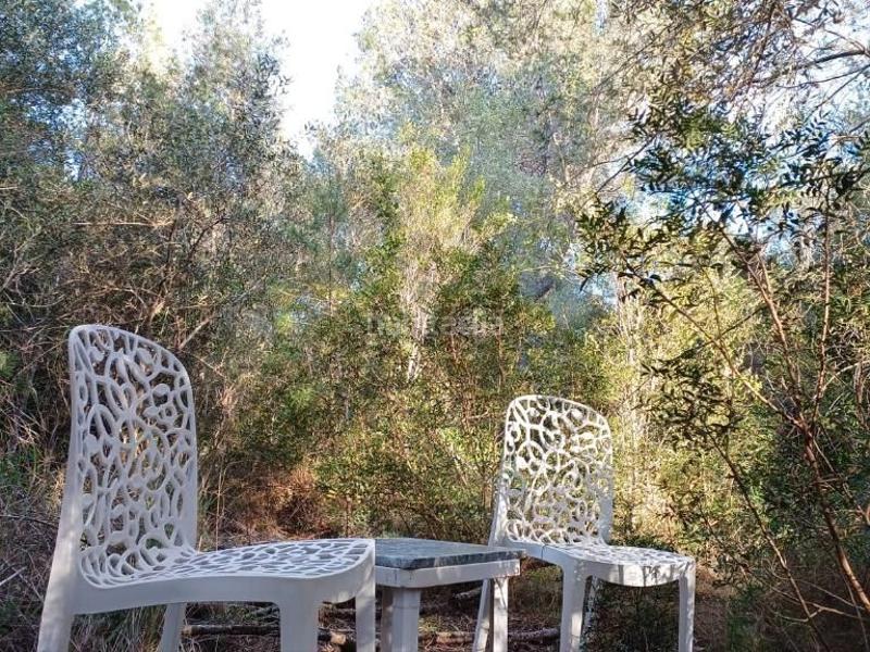 Foto e4f30bbb-1b2b-4985-997b-e406eff95fa2. Alquiler estudio en carrer del pont 28 alojamiento olivo - art villa claudia en Ametlla de Mar (L´)