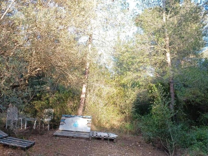 Foto fa4862fa-9837-4d29-81f0-9a23f2592bd6. Alquiler estudio en carrer del pont 28 alojamiento olivo - art villa claudia en Ametlla de Mar (L´)