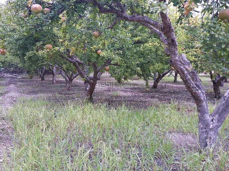 Foto 1d97b1fc-8d5e-471b-ad0c-ced036a3bf02. Finca rústica a calle alta 24 a Villamena