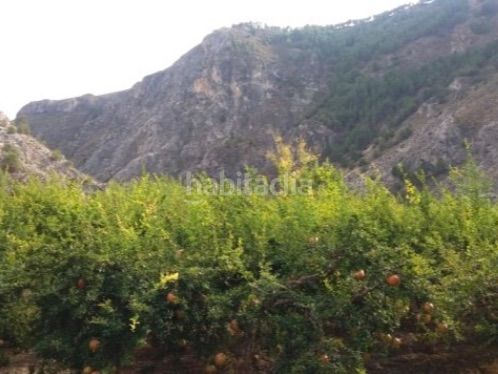 Foto 253a61e8-623a-42eb-91de-f08389a0d8b6. Finca rústica a calle alta 24 a Villamena