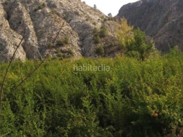 Foto 33cd091e-8776-464d-8504-14fb1a9d379f. Finca rústica a calle alta 24 a Villamena