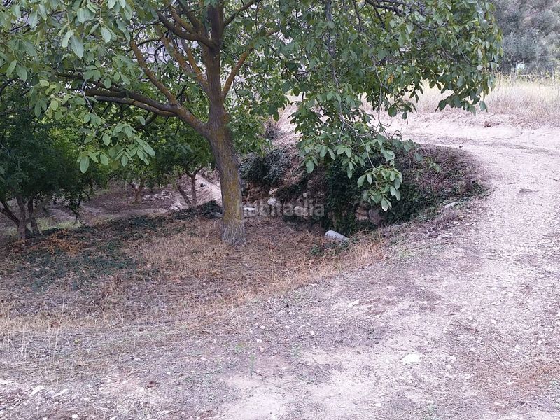 Foto 5f29d31a-ed29-49e7-b87d-79e50399b76b. Finca rústica a calle alta 24 a Villamena