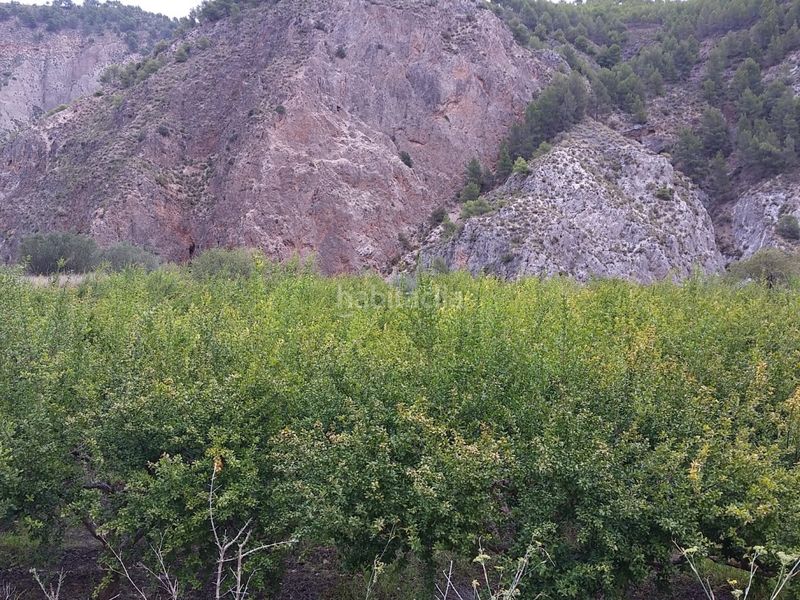 Foto 80db410a-3f33-4e68-86d2-8530be60a00e. Finca rústica a calle alta 24 a Villamena