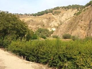Finca rústica en Calle alta 24. Venta de finca de granados en un ambiente paradisiaco