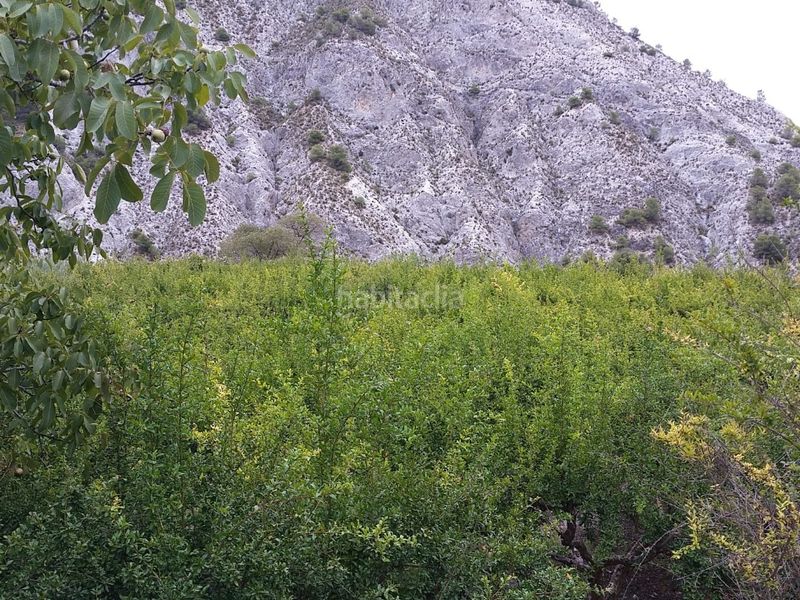 Foto b6559c72-9ba0-4150-b2bb-0610fc0125df. Finca rústica a calle alta 24 a Villamena