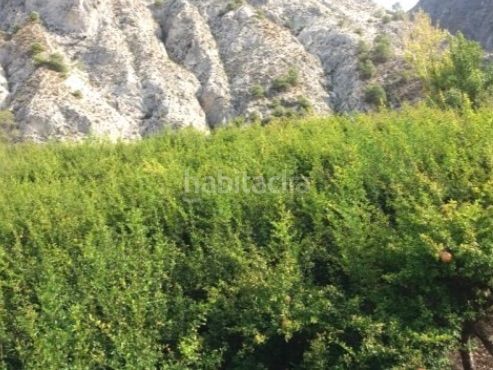 Foto ebd07176-d287-45fc-b455-98b0d9080a98. Finca rústica a calle alta 24 a Villamena