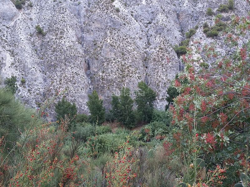 Foto fc71943e-69ea-4459-9405-11329a3feadb. Finca rústica a calle alta 24 a Villamena
