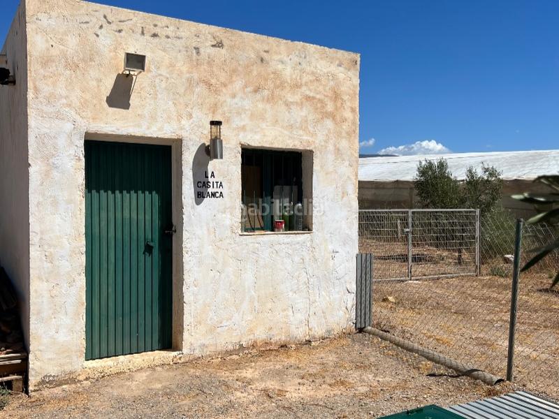 Foto 3dd540ba-1a98-459b-8c3b-1efd5562000b. Casa en pago escuchagranos 1 cortijo andaluz con olivos productivos en Abrucena