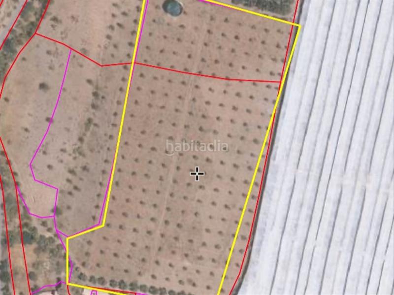 Foto 91c37e00-2fd7-40fa-8954-2b328b713c17. Casa en pago escuchagranos 1 cortijo andaluz con olivos productivos en Abrucena