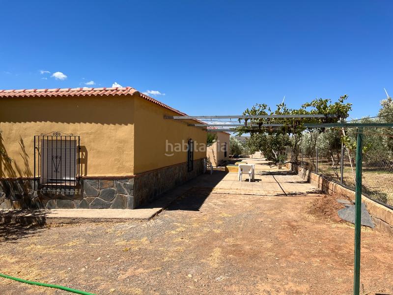 Foto b036fd23-5605-43f5-b61a-874c79f3d7d6. Casa en pago escuchagranos 1 cortijo andaluz con olivos productivos en Abrucena