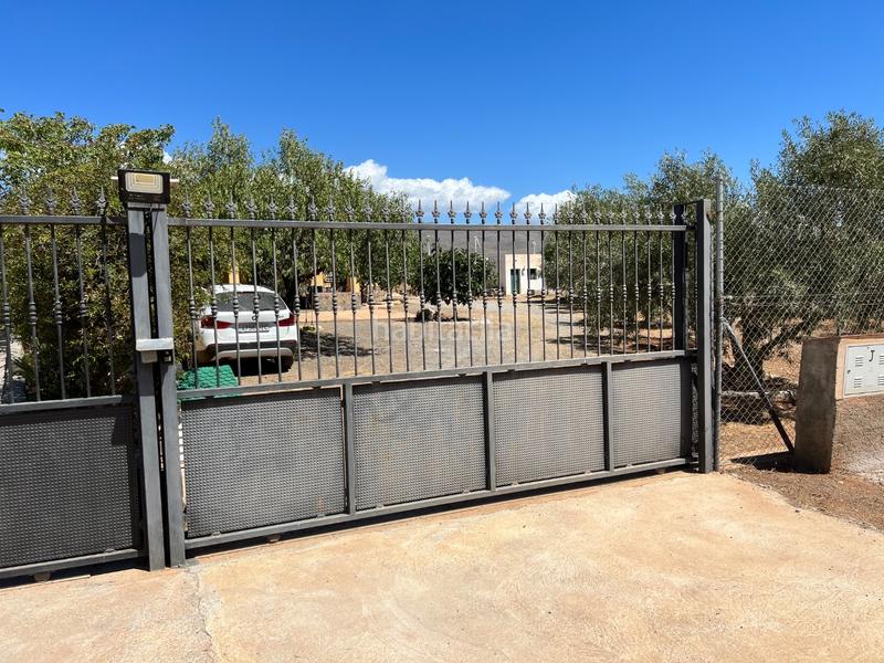 Foto b1fe04f4-b3db-4a65-a145-c945b8b4462d. Casa en pago escuchagranos 1 cortijo andaluz con olivos productivos en Abrucena
