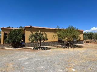 Maison à Pago escuchagranos 1. Cortijo andaluz en abrucena con olivos productivos