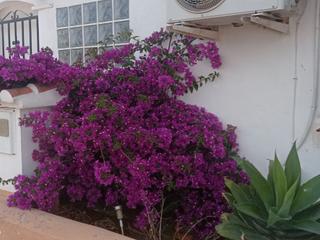 Lloguer Casa adossada a Partida devesa 55. Vivir entre playa y parque natural