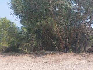 Residential Plot in Calle montsia  28. Terreno en la pineda de santa cristina
