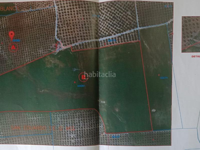 Foto 2ae979bd-bd0a-4b7d-bd6a-81f69a14969c. Finca rústica en calle priego 3 terreno rústico de secano en Baena