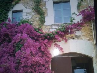Location Mas à Pou comu 24. Masia en alt empordà