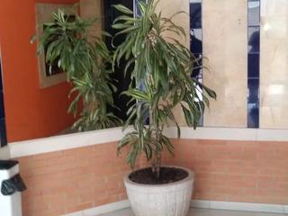 Affitto Appartamento in Avenida santa rosa de lima 1. Piso en avenida santa rosa de lima