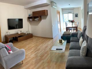 Duplex  Passatge viñas 29