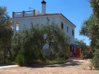 Rural plot in Gabezo gordo 1. 5,8ha finca autosuficiente con olivar y potencial de casa de hué