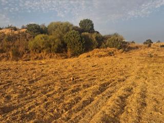 Fondo rustico in Los olivos  37. Campo para sembrar o aser una casita