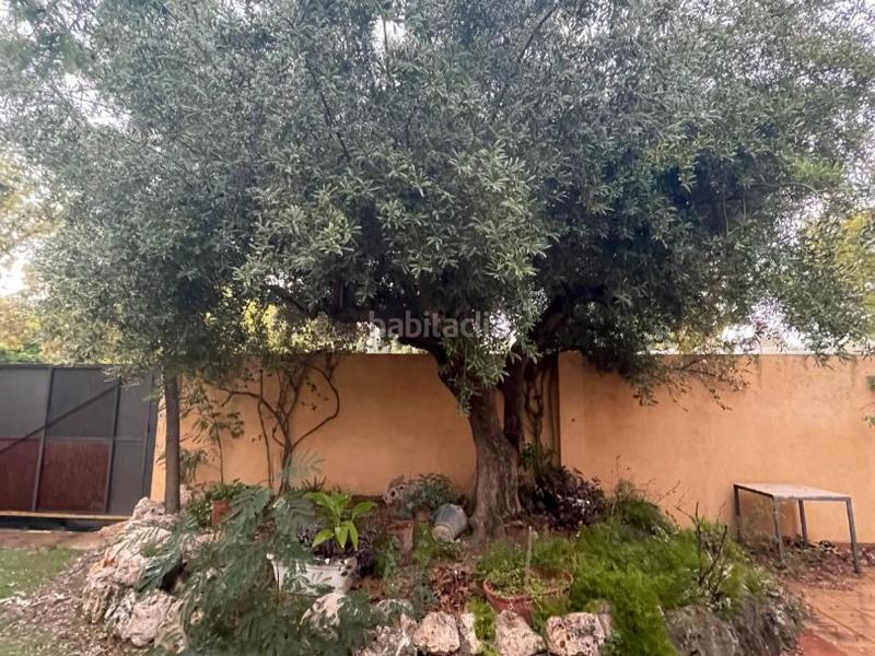 Foto 0e41f7e5-1ce1-4250-bbf4-27776ea4ba0b. Terreno residencial en avinguda del mil·lenari 48 oferta! parcela de 140m2 ! en Cambrils