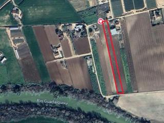 Finca rústica en Calle camino del rio 13. Venta de parcela rustica