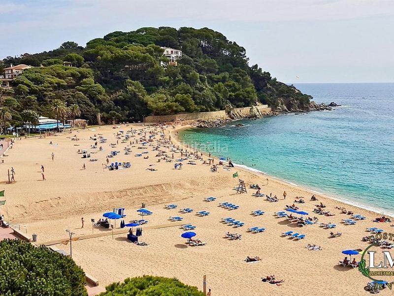 Foto d0d24c70-4ab1-41f9-adfb-9e09ff0127e8. Estudio en pla de Fenals 1-5 apartamento junto al mar con piscina y jardín cerca de barcelona y girona en Lloret de Mar