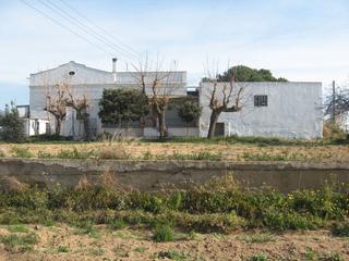Mas à Camí de les cinc senies 38. Finca de regadío con masía