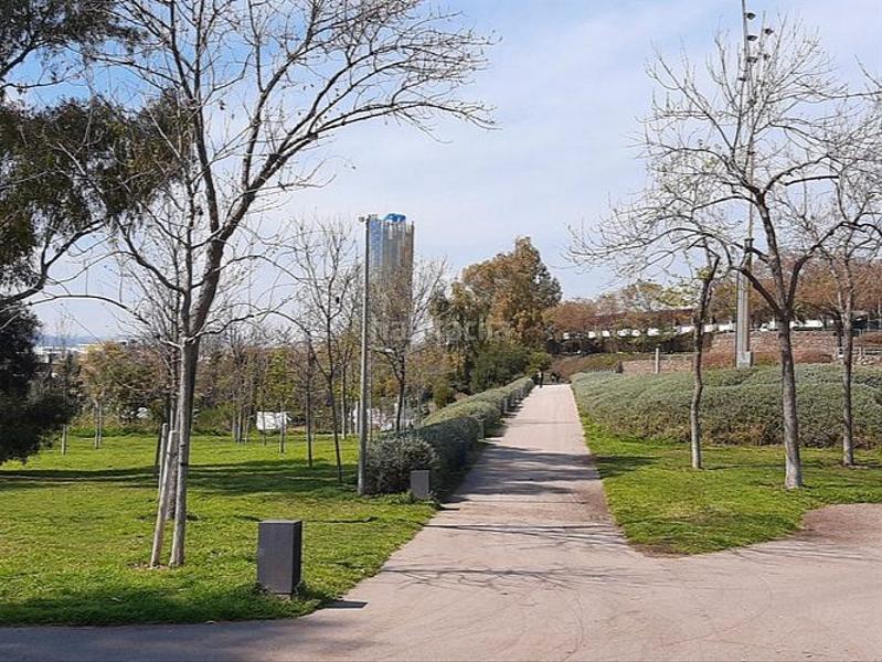 Foto e7ff13fa-97d5-4400-a520-5d9e4a6ea196. Ático en carrer d'andalusia 3 atico con terraza en Sant Joan Despí