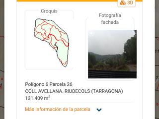 Rural plot in N-420 855. Terreny en venda partida coll avellana