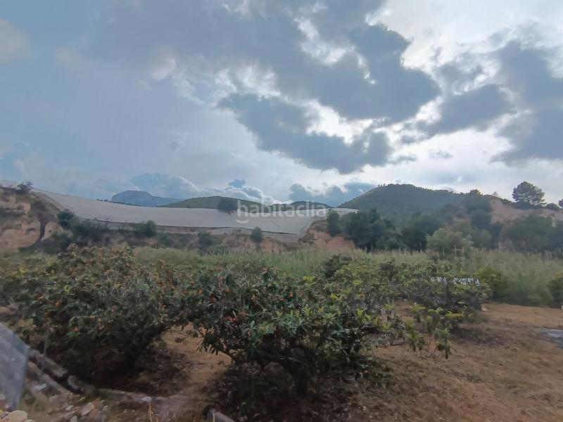 Foto 5f0c0950-8193-4fe9-99a7-d5395fa4037d. Masía en partida ofra 7 se vende casita para reformar con luz , agua y terreno en Callosa d´en Sarrià