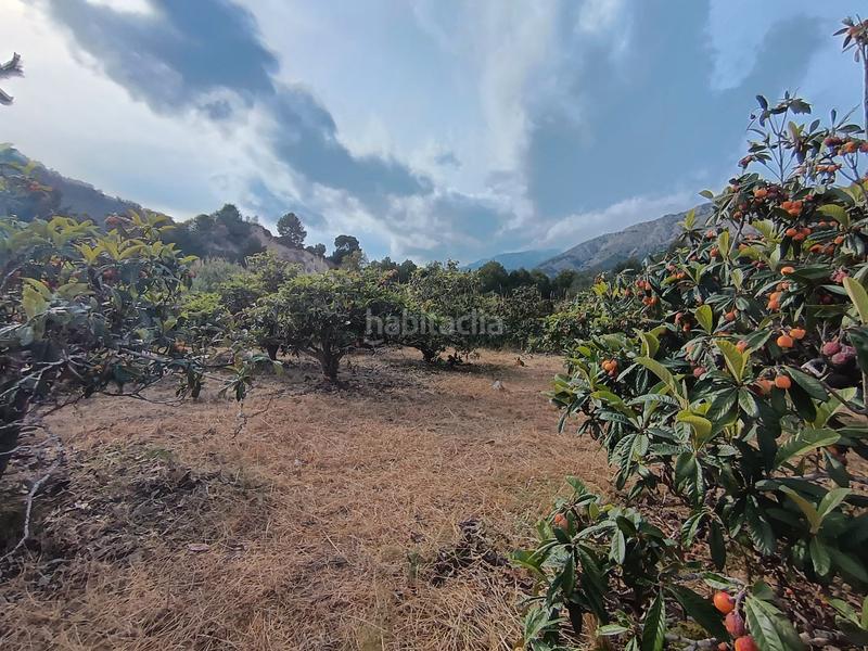 Foto a80567a5-265f-458c-9056-cbc5001fa165. Masía en partida ofra 7 se vende casita para reformar con luz , agua y terreno en Callosa d´en Sarrià