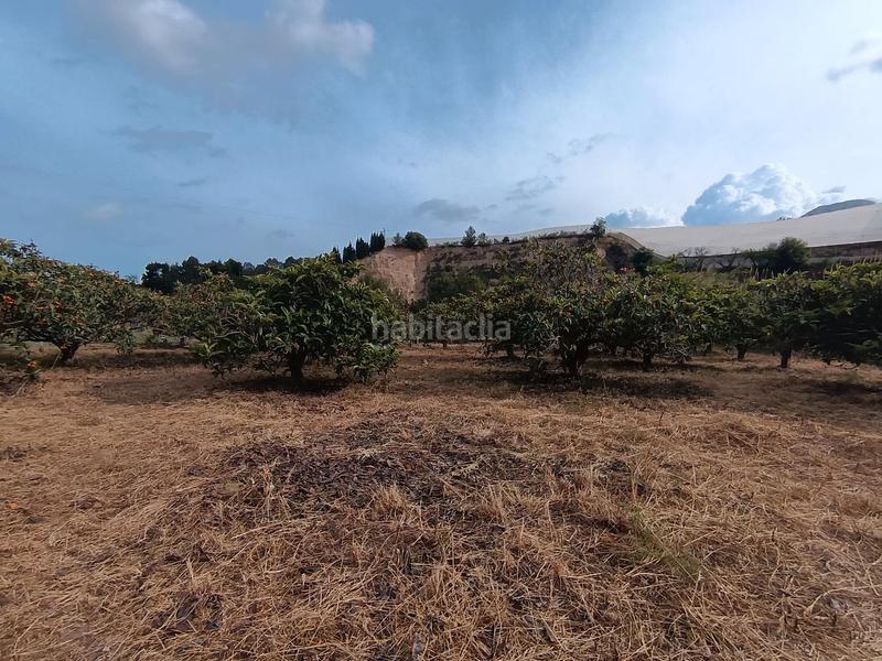 Foto b5065e7f-291c-4603-9901-0bc2063a7b92. Masía en partida ofra 7 se vende casita para reformar con luz , agua y terreno en Callosa d´en Sarrià