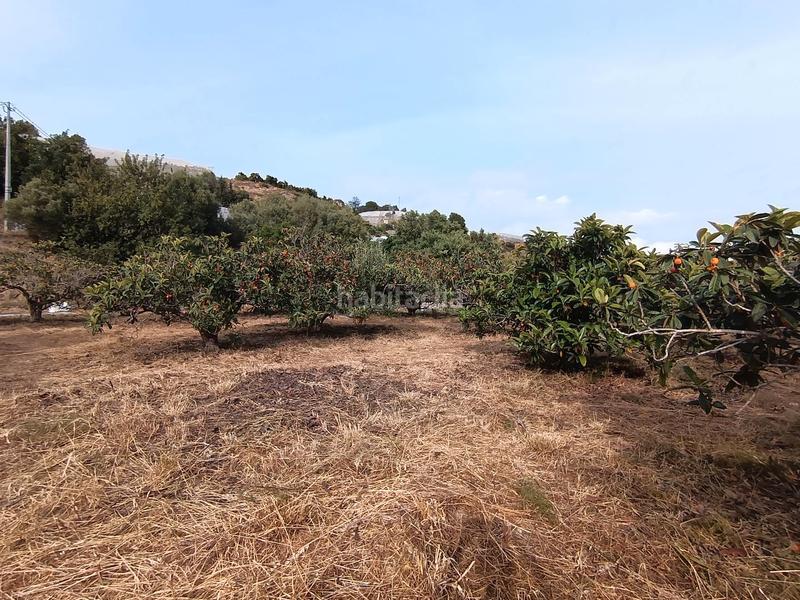 Foto ddd2d5b5-291a-4a30-8abe-006412fb5829. Masía en partida ofra 7 se vende casita para reformar con luz , agua y terreno en Callosa d´en Sarrià
