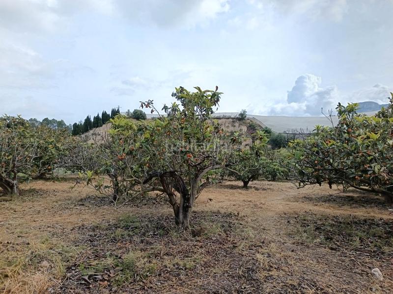 Foto e44d82f8-f343-4c9c-90a6-724a2ba9b761. Masía en partida ofra 7 se vende casita para reformar con luz , agua y terreno en Callosa d´en Sarrià
