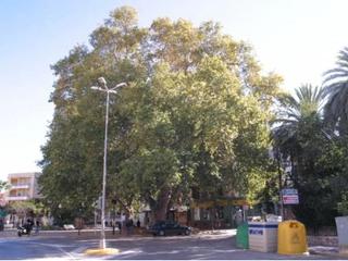 Location Appartement à Plaça pont del riu 5. Piso recien rehabilitado