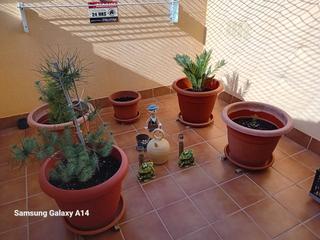 Duplex à Pg. de la generalitat 67. Dúplex encantador para entrar a vivir