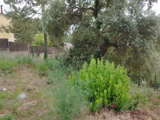 Residential Plot in Avinguda rafael albertí 60. Terreno en urbanización lloret residencial