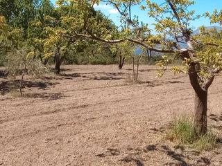 Rural plot in Calle real de capilerilla 2. Finca en la alpujarra