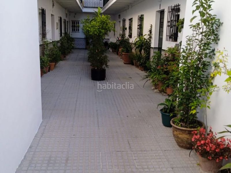Foto ff21f3b8-bf33-4276-b799-533799c06d87. Rent apartment in calle calzada de san vicente 2 in Alcalá de los Gazules