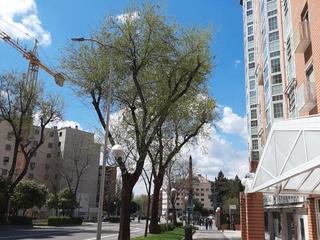 Lloguer Pis a Paseo de las acacias 30. Precioso piso con ubicación inmejorable.
