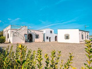 Masia a Camí del mas de colomi 9. Finca villa oasis, un exclusivo complejo de paz en reus