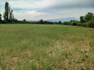 Finca rústica a Avenida de la paz 73. Se vende parcela agrícola de regadío, situada en el término muni