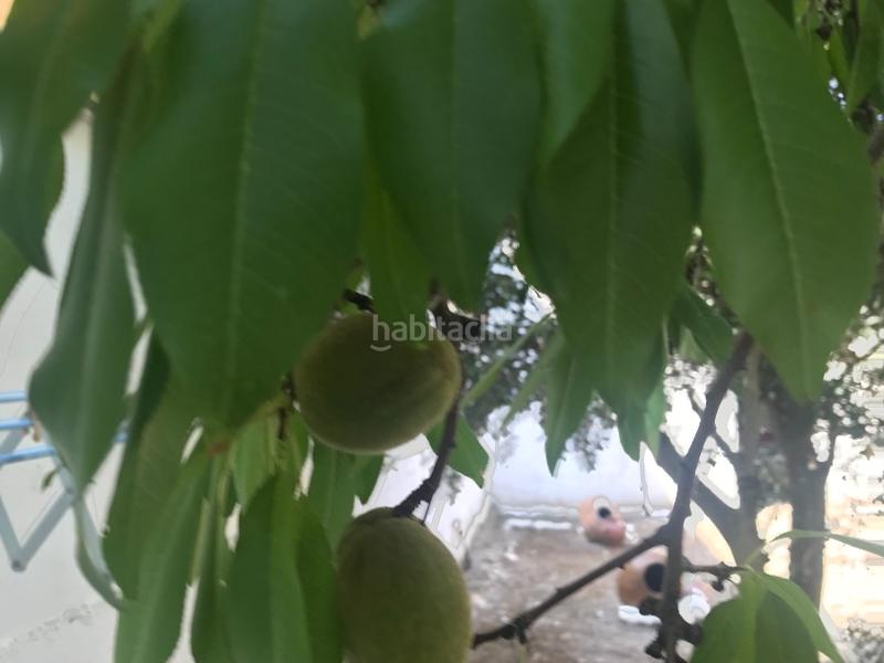 Foto 230eb9ed-8705-495b-9bfd-7806e852fa1b. Casa aparellada a calle huesca 18 a Gurrea de Gállego