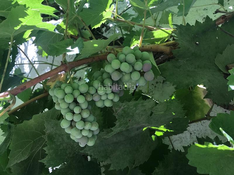 Foto 25752303-826a-48fb-9455-a21b04834103. Casa aparellada a calle huesca 18 a Gurrea de Gállego