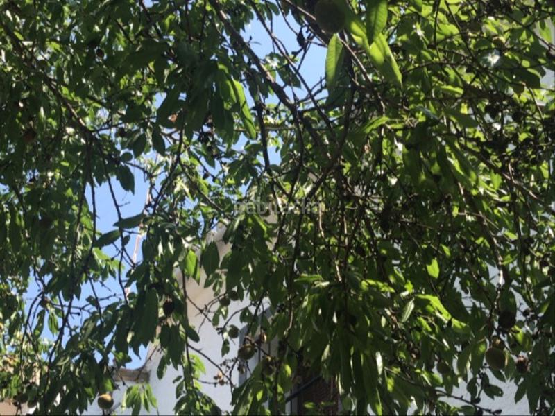 Foto 34ade627-493c-49dc-8bdc-cca7c0dfde84. Casa aparellada a calle huesca 18 a Gurrea de Gállego